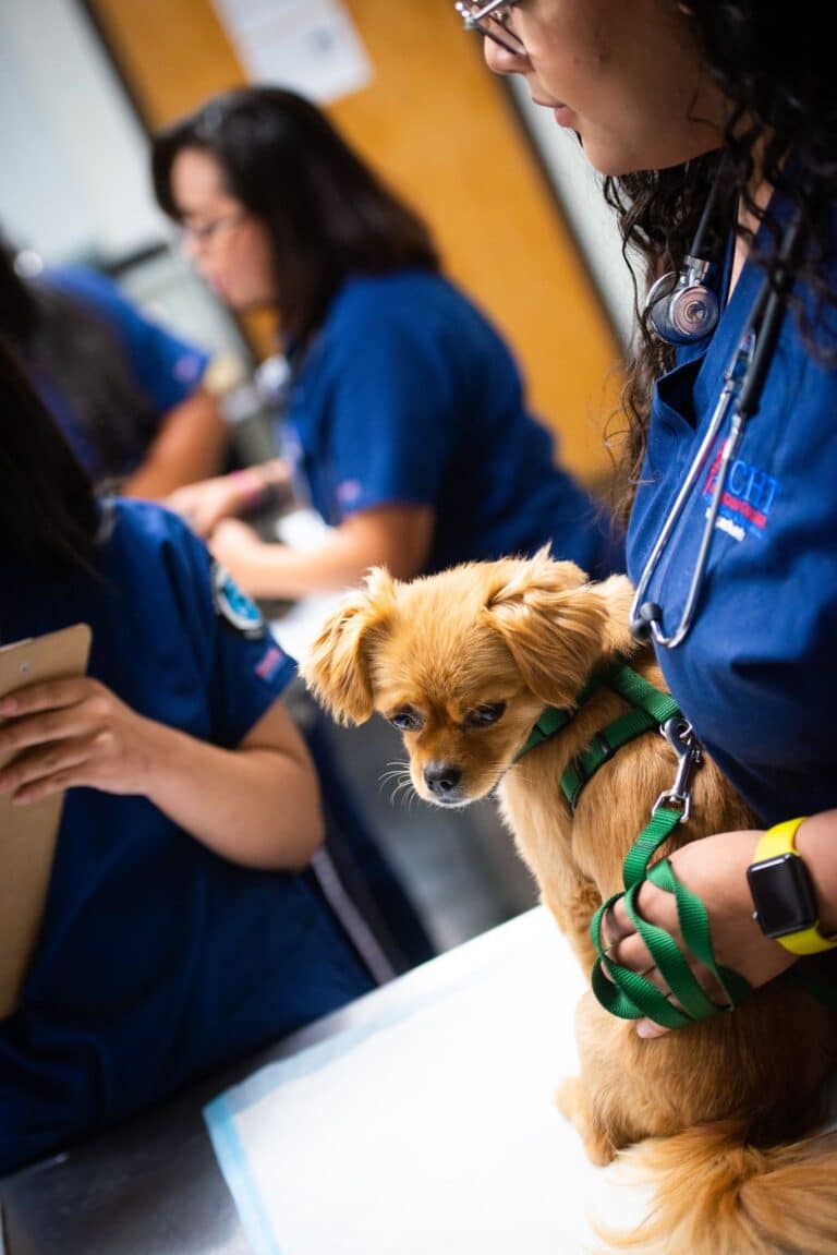 CHAC Blog California Healing Arts College