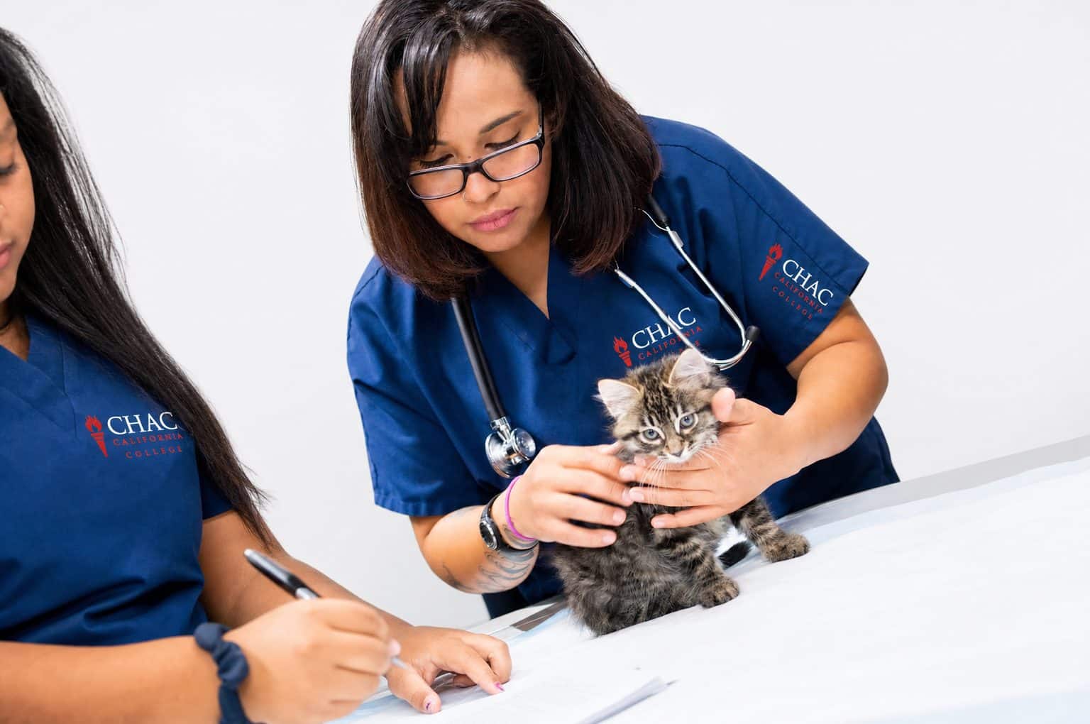 CHAC veterinary assistant students examining a kitten at the Carson campus