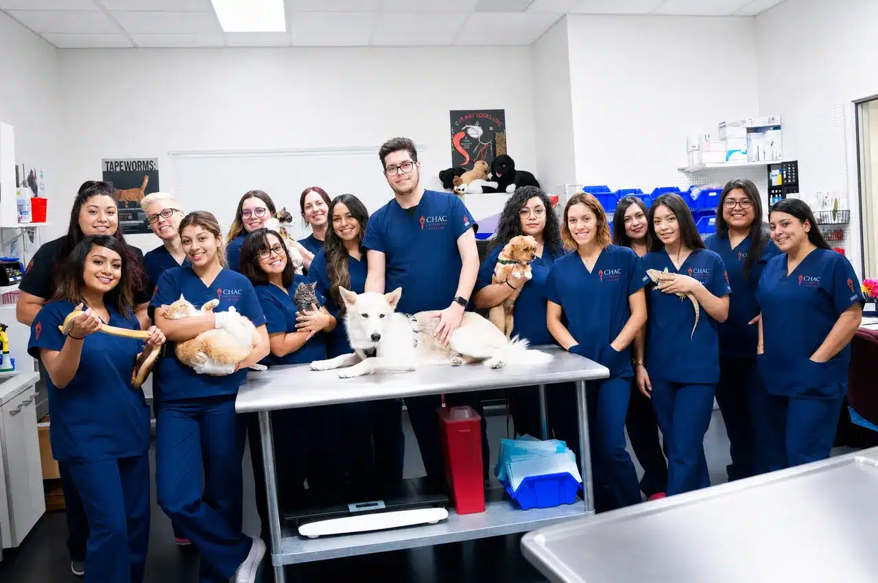 CHAC veterinary assistant class with animals