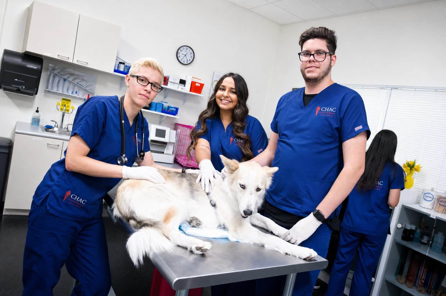 Students examining a dog