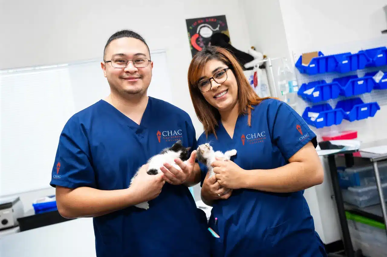 CHAC veterinary assistant students holding kittens