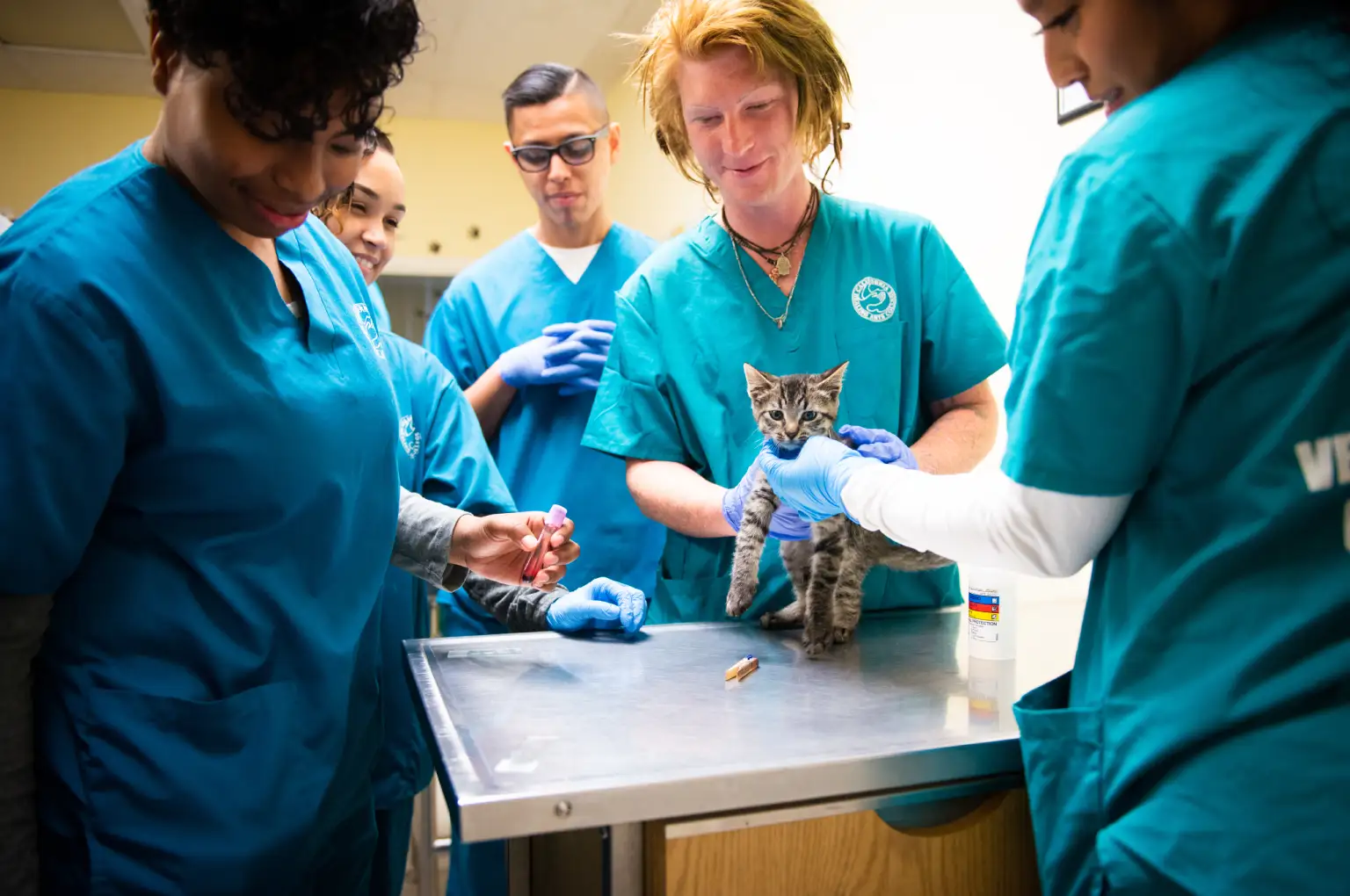 Students examining a dog