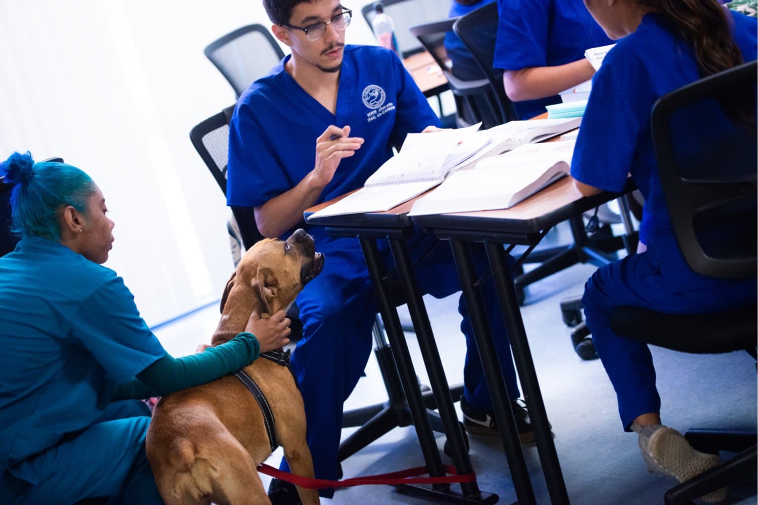 Do Vet Assistants Get Benefits? A Complete 2026 Guide
